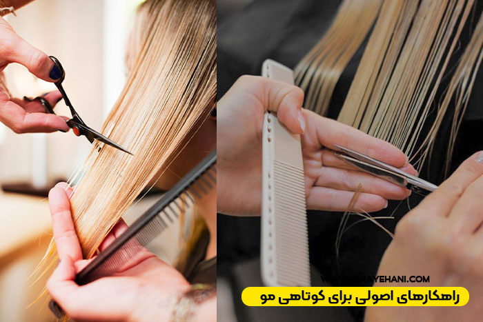 راهکارهای اصولی برای کوتاهی مو