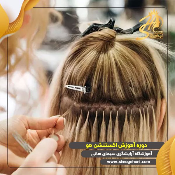 دوره آموزش اکستنشن مو