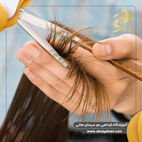 haircut-training-women-5 haircut-training-women-5