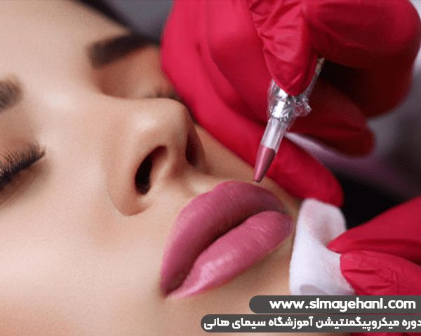 micropigmentation training permanent cosmetic 04