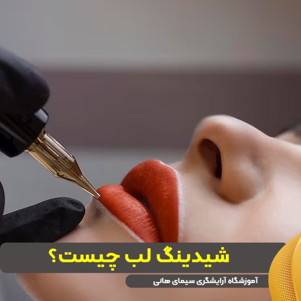 شیدینگ لب چیست
