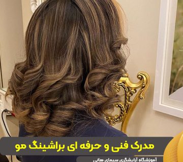 مدرک فنی حرفه ای براشینگ مو