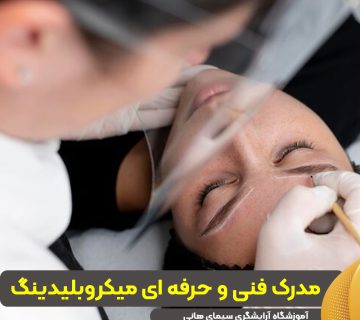 مدرک فنی حرفه ای میکروبلیدینگ ابرو