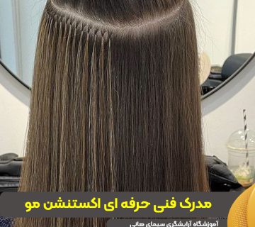 مدرک فنی و حرفه‌ای اکستنشن مو