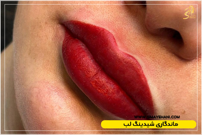 ماندگاری شیدینگ لب