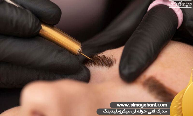 مدرک فنی حرفه ای میکروبلیدینگ ابرو
