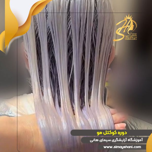 دوره آموزش کوکتل مو