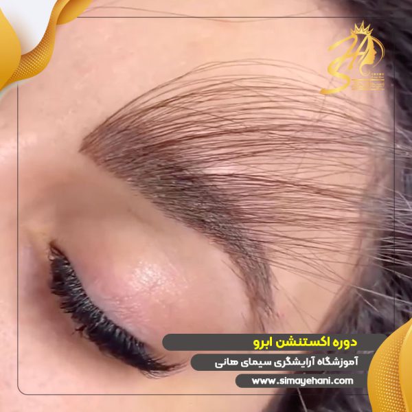 دوره آموزش اکستنشن ابرو