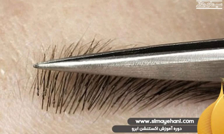 دوره آموزش اکستنشن ابرو