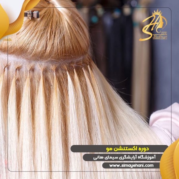 دوره آموزش اکستنشن مو