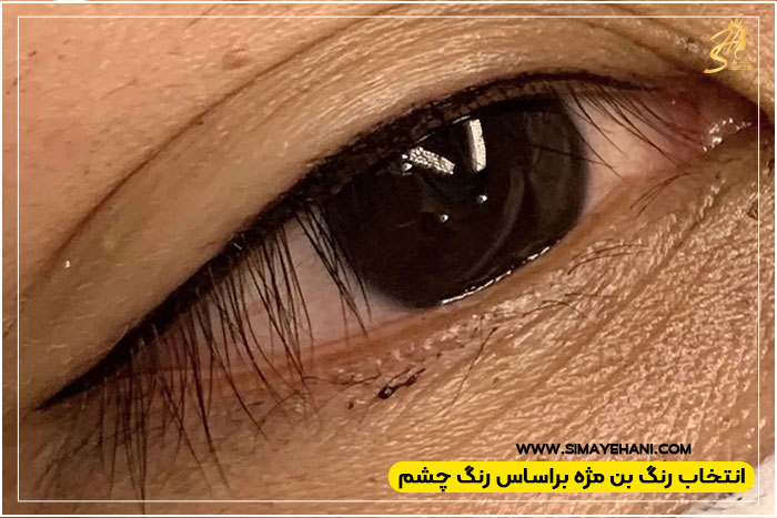  سبک های بن مژه