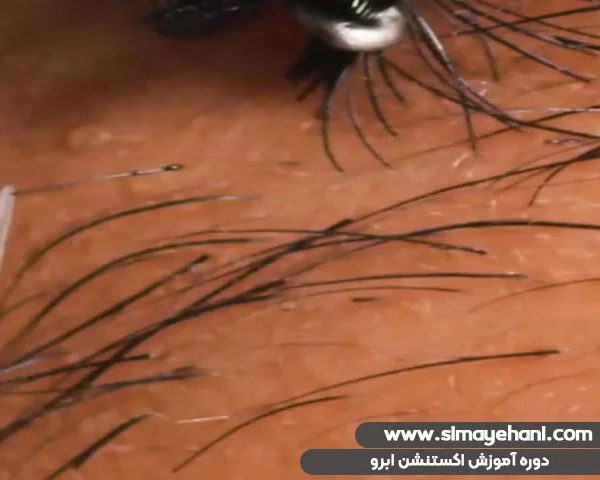دوره آموزش اکستنشن ابرو