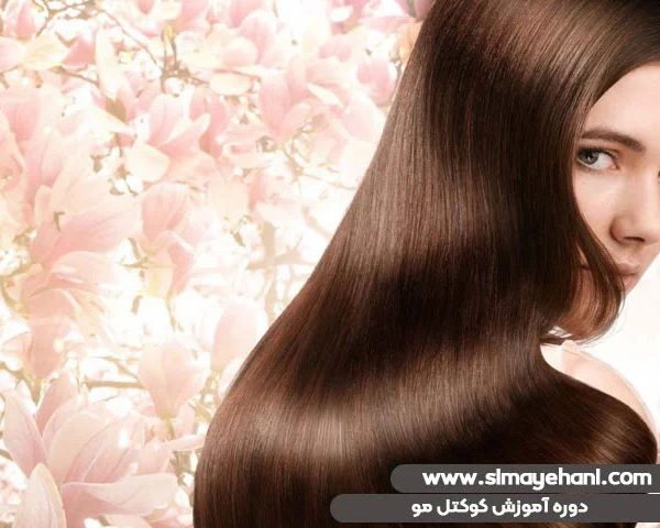 دوره آموزش کوکتل مو