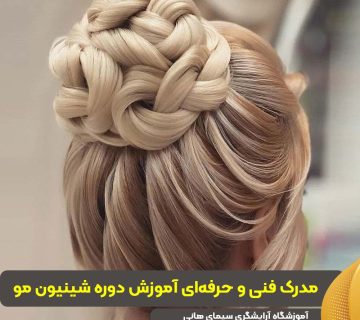 مدرک فنی و حرفه‌ای آموزش‌ دوره شینیون مو