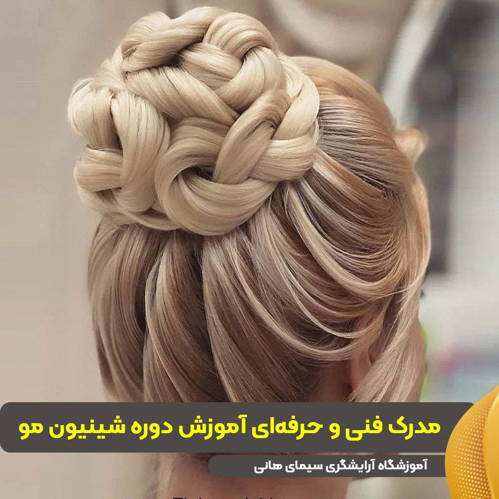 مدرک فنی و حرفهای آموزش دوره شینیون مو