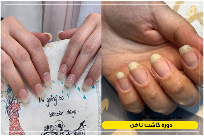 دوره ناخنکاری حرفه ای