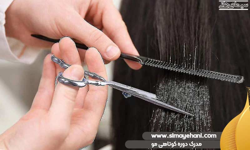 مدرک فنی و حرفه ای آموزش دوره کوتاهی مو