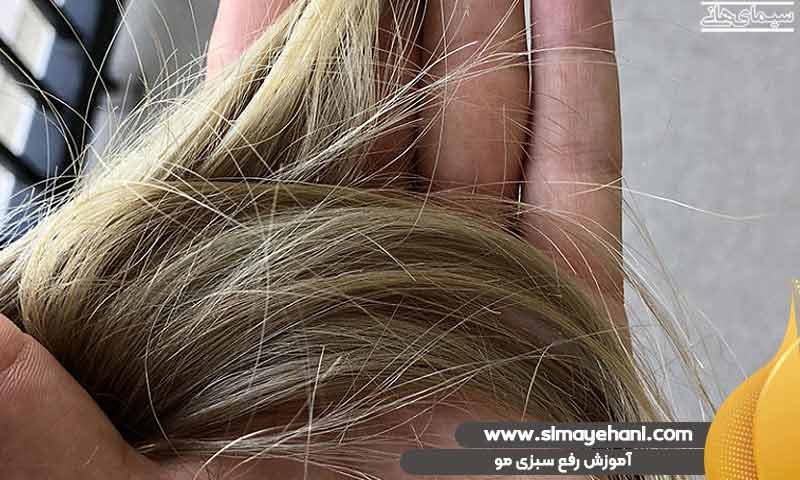 آموزش رفع سبزی مو