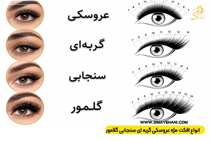 افکت مژه عروسکی گربه ای سنجابی