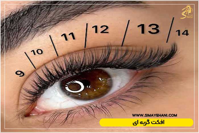افکت مژه گربه ای