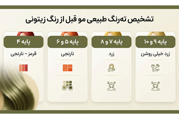 تشخیص تهرنگ طبیعی مو پیش از اجرای رنگ زیتونی